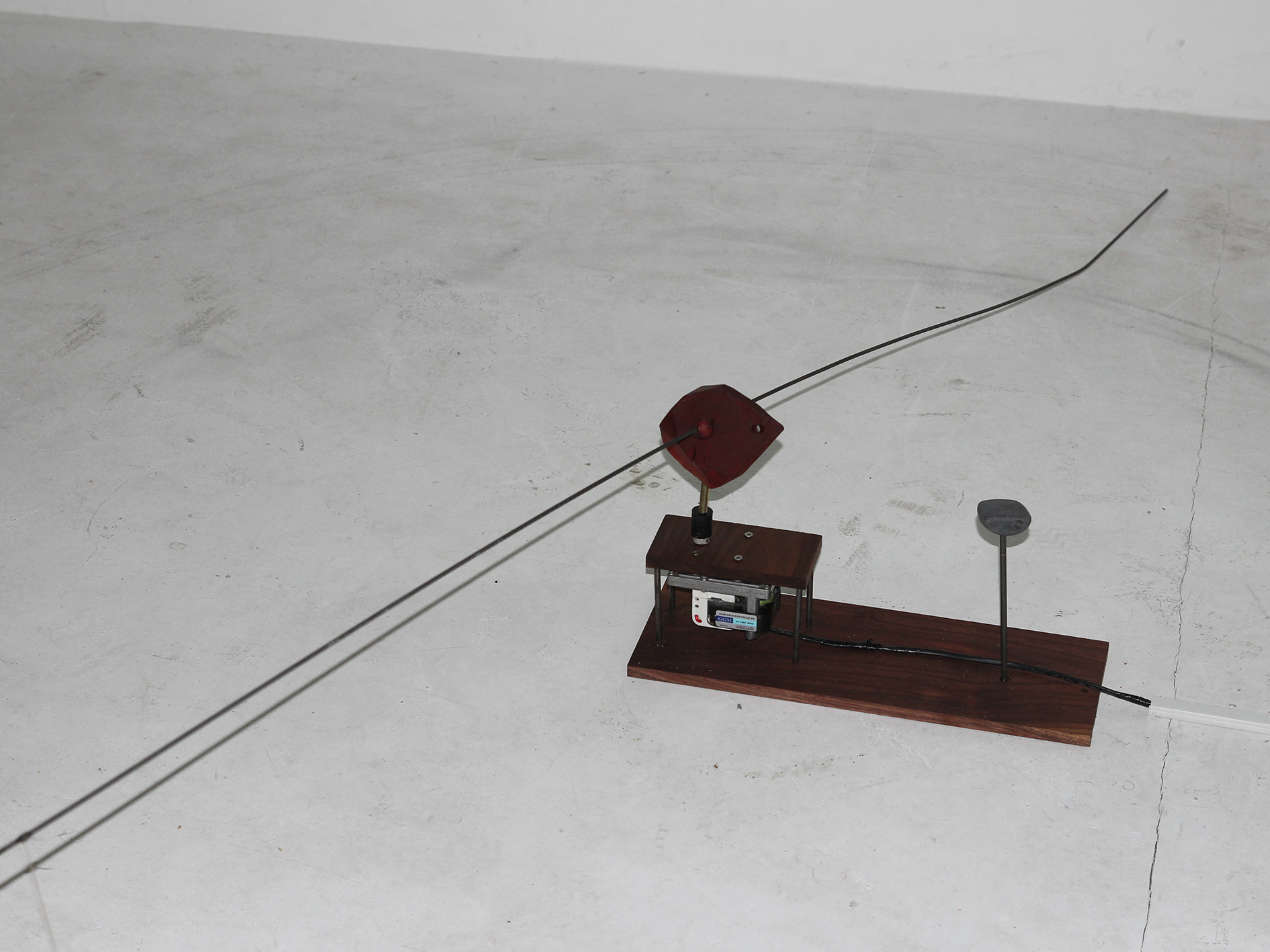 auditory studies in noise, 2025