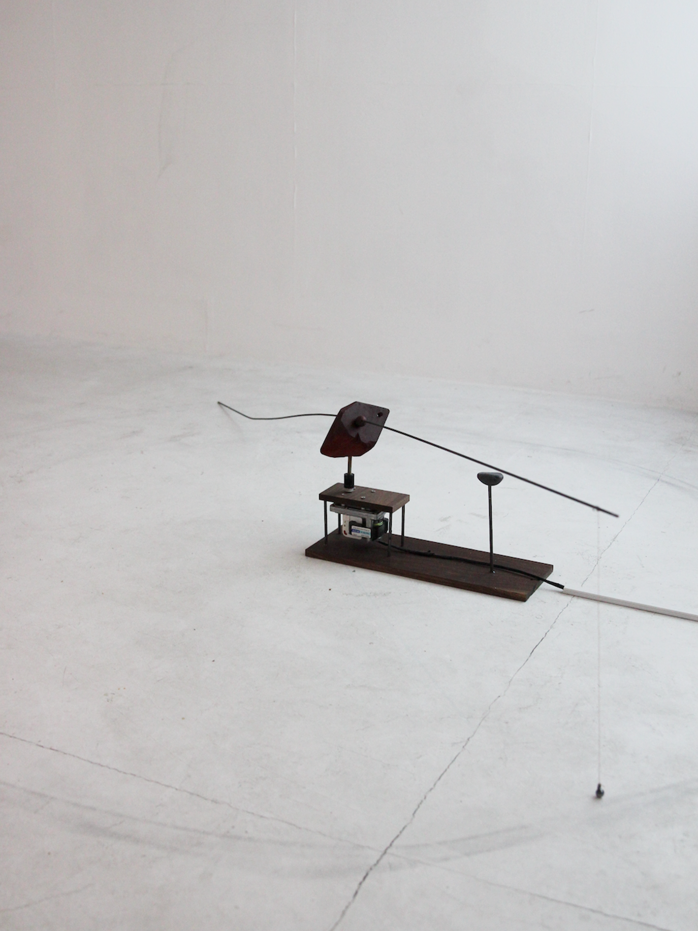 auditory studies in noise, 2025