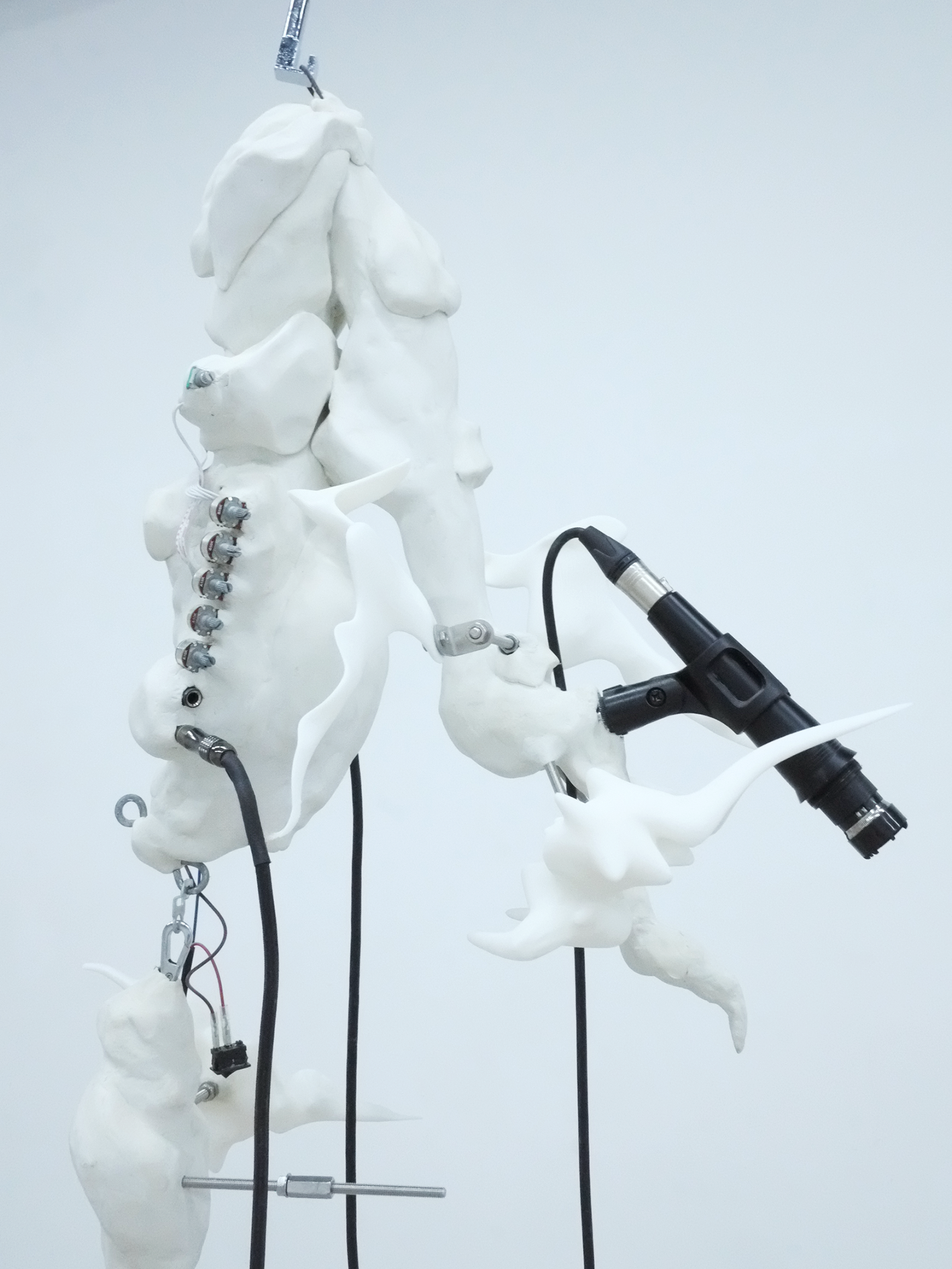 Ossicle - N : 1, 2024